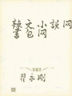辣文小说网第二书包网