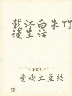 戴沐白朱竹清婚后生活