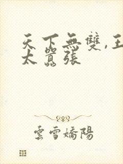 天下无双,王妃太嚣张