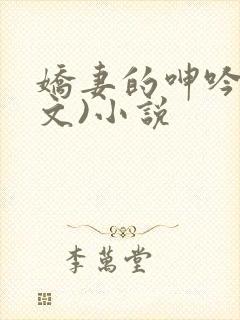 娇妻的呻吟(辣文)小说