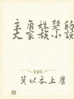 主角姓楚的京城大家族小说