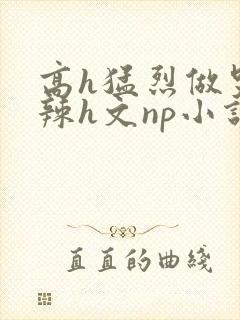 高h猛烈做哭高辣h文np小说