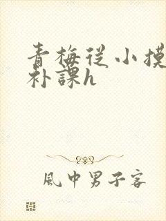 青梅从小摸到大补课h