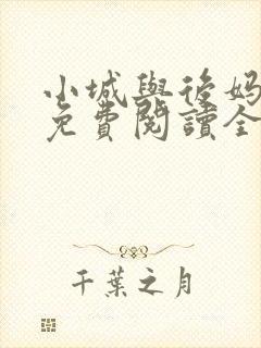 小城与后妈小说免费阅读全文最新章节封面