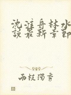 沈淮舟林水伊小说最新章节更新内容