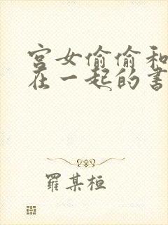 宫女偷偷和皇上在一起的书