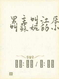 男主叫江辰女主叫苏婉的小说