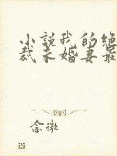 小说我的绝色总裁未婚妻最新章节封面