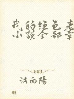 我的绝色老板娘小说全部章节封面