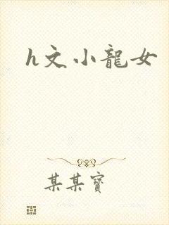 h文小龙女
