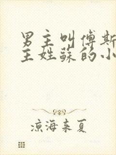 男主叫傅斯年女主姓苏的小说