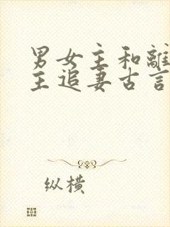 男女主和离后男主追妻古言