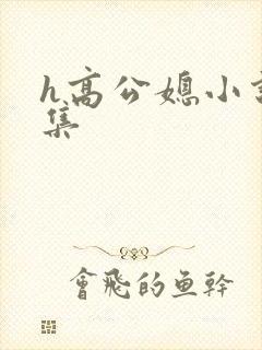 h高公媳小说合集封面