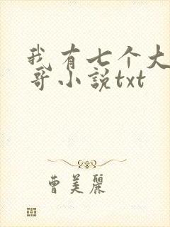 我有七个大佬哥哥小说txt封面