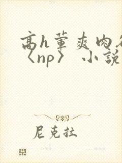 高h荤爽肉欲文〈np〉 小说