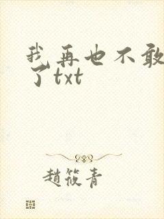 我再也不敢爱你了txt