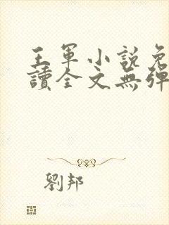 王军小说免费阅读全文无弹窗