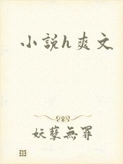 小说h爽文