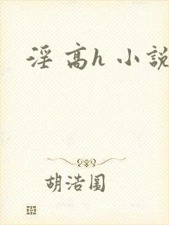 淫 高h 小说封面
