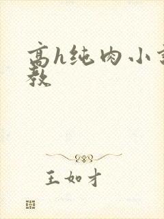 高h纯肉小说调教