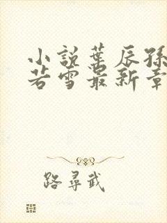 小说叶辰孙怡夏若雪最新章节阅读