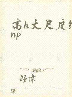 高h大尺度纯肉np