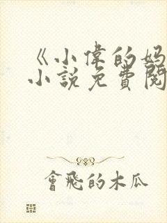 《小伟的妈妈》小说免费阅读