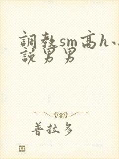 调教sm高h小说男男