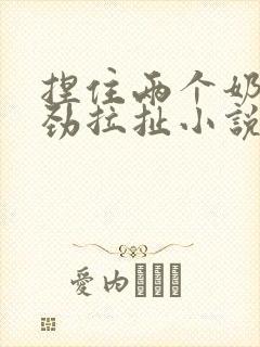 捏住两个奶头使劲拉扯小说