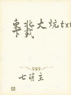 东北大炕txt下载封面