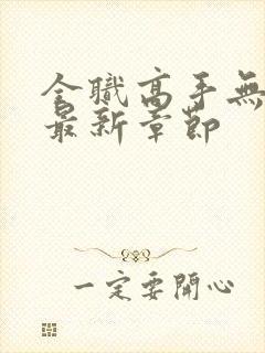 全职高手无弹窗最新章节