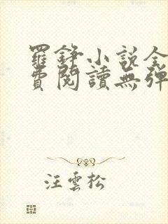 罗铮小说全文免费阅读无弹窗