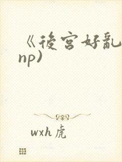 《后宫好乱》(np)