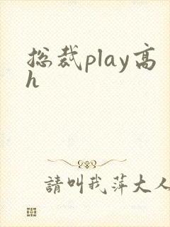 总裁play高h