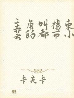 主角叫杨东苏沐芸的都市小说名字