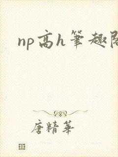np高h笔趣阁