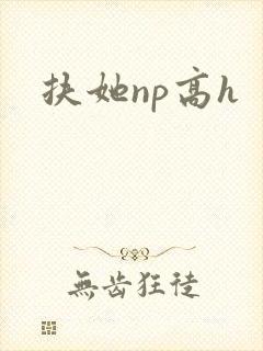 扶她np高h