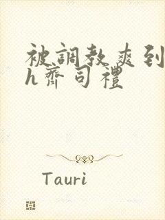 被调教爽到失禁h齐司礼