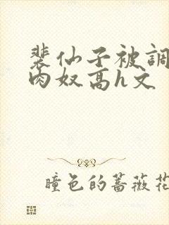 裴仙子被调教成肉奴高h文