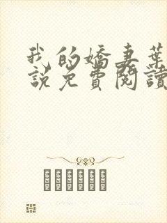 我的娇妻叶辰小说免费阅读