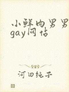 小鲜肉男男同性gay网站
