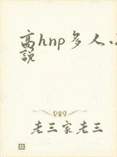 高hnp多人小说封面