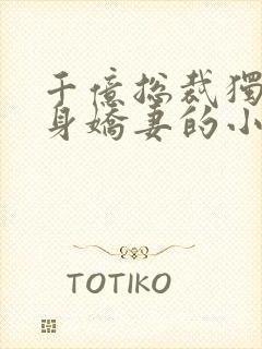 千亿总裁独宠替身娇妻的小说