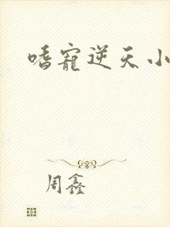 嗜宠逆天小狂妃