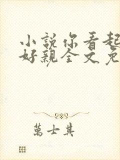 小说你看起来很好亲全文免费阅读