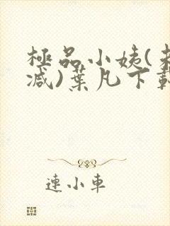 极品小姨(未删减)叶凡下载