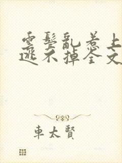 云鬓乱惹上权臣逃不掉全文版