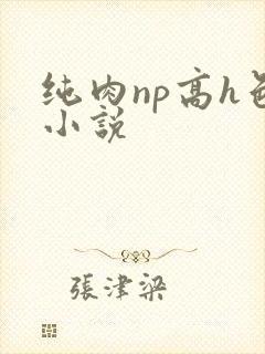 纯肉np高h色小说