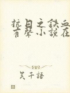 抗日之铁血战魂有声小说在线收听