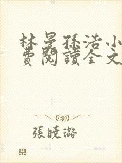 林曼孙浩小说免费阅读全文最新章节封面